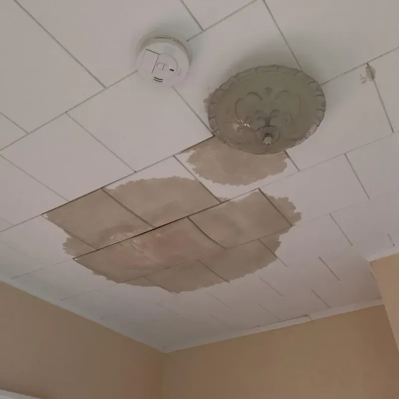 Ceiling Water Damage Repair in La Coste, TX