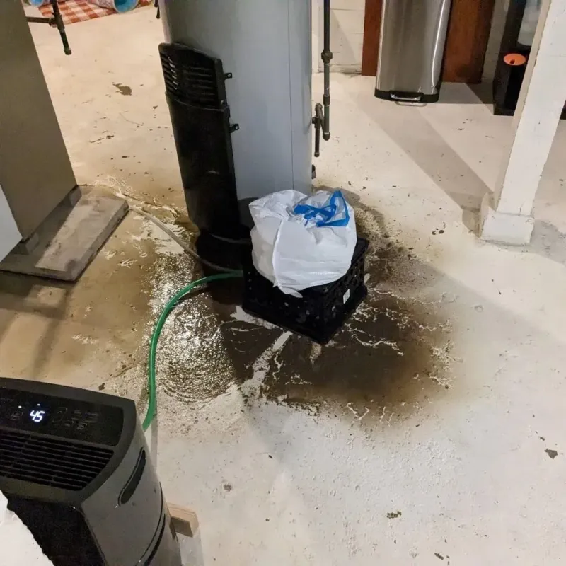 Sewage Backup Cleanup Service in La Coste, TX